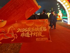 -茯茶镇