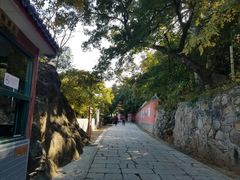-妙峰山风景名胜区