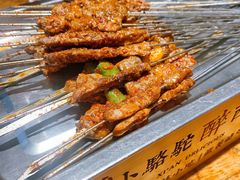-福苗小骆驼烧烤(莲湖路店)