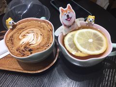 -逗柴咖啡屋·狗咖猫咖宠物桌游