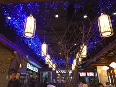 芙蓉巷-芙蓉巷成都名小吃(丹尼斯2天地店)