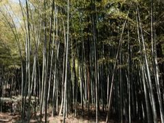 -敬亭山风景名胜区