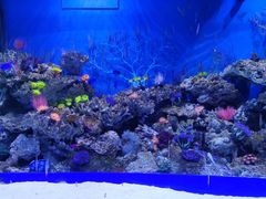 -成都浩海立方海洋公园