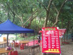 -羚羊峡古栈道森林公园