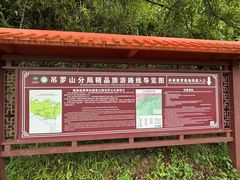 -海南热带雨林国家公园吊罗山景区