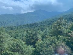 -苍山感通索道