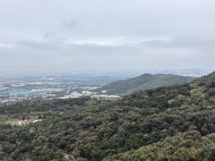 -北京西山国家森林公园