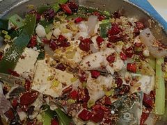-万和源炝锅城·活鱼现炝(文艺北路店)