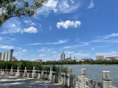 -莲花池公园
