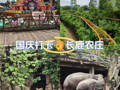 -长鹿旅游休博园