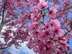 -福州大学(旗山校区)