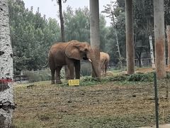 -石家庄市动物园