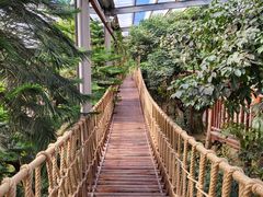 -呀路古热带植物园