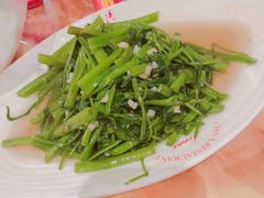 蒜炒空心菜-新阳光大酒店