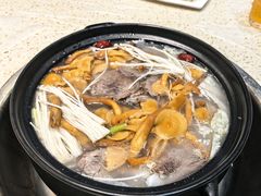 -九寨特色牦牛肉汤锅 羊肉汤锅