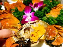 -醉南拳客家菜·河田鸡(西禅寺杨桥店)