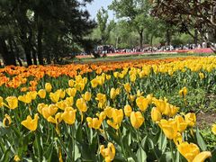 -国家植物园南园