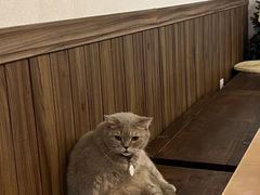 -MIMO CAFE(沙头角店)