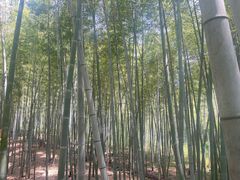 -陶祖圣境风景区