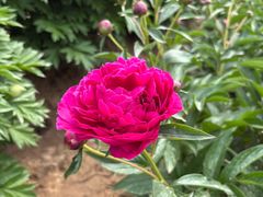 -国家植物园南园