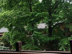 -天怡·鱼工厂(梅溪湖店)