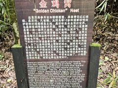 -大围山国家森林公园
