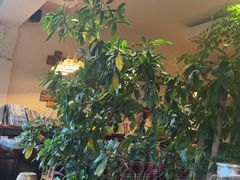 -慢丽江·云南野生菌土鸡锅(付家庄店)