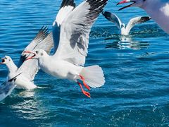 -丽江泸沽湖景区