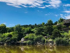 -北京西山国家森林公园
