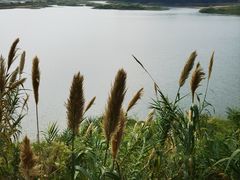 -立新湖公园