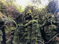 -梭布垭石林景区