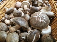 -华润万家超市(锦江翡翠城店)