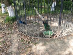 -白马涧龙池景区