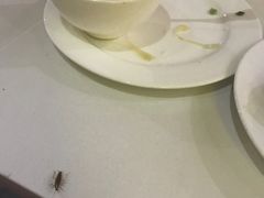 -水森林·按摩SPA·美食韩式汗蒸水会(国贸E口店)