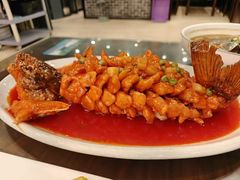 -津菜宋记老房子(鼓楼店)
