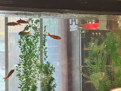 -新侨小馆(东直门北小街店)