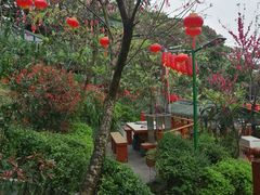 -枇杷园食为鲜火锅(南山店)