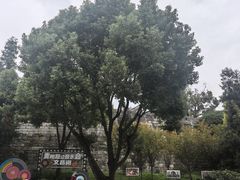 -文昌阁-老东门遗址