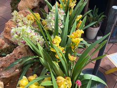 -国家植物园南园