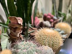 -J Create城市露营咖啡·简餐·宠物(上海动物园店)