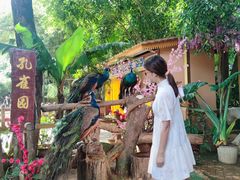 -西双版纳勐泐文化旅游区