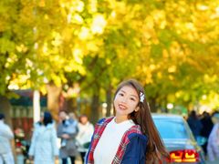 -三里屯东五街银杏大道