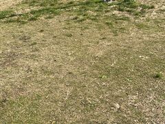 -花果园湿地公园