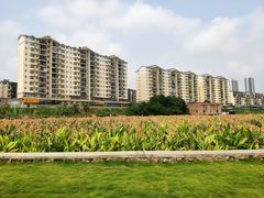 景点-那考河湿地公园