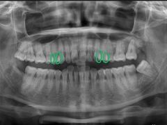 -牙博士口腔(杨浦店)