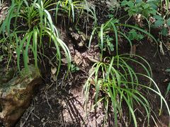 -栾川竹海野生动物园