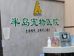 -半岛宠物医院24小时(科华中路店)