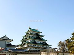 -名古屋城