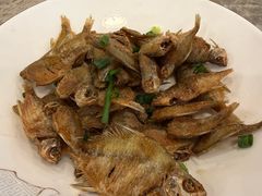 野生旁皮鱼-状元楼(金溪路店)