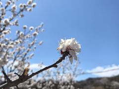 -龙泉峪长城